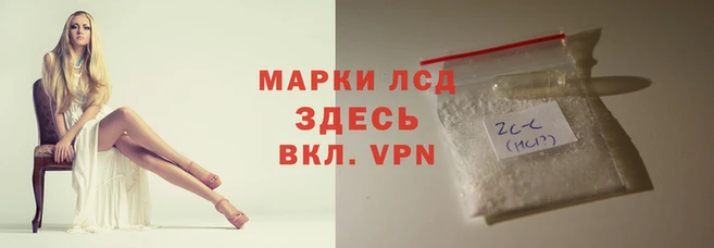 PSILOCYBIN Армянск