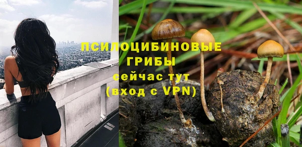 PSILOCYBIN Армянск