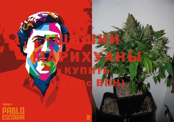 PSILOCYBIN Армянск