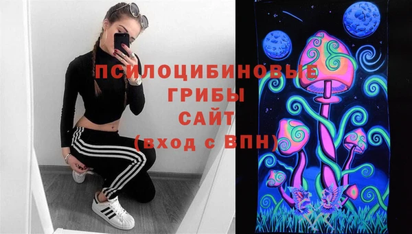 а пвп мука Аркадак