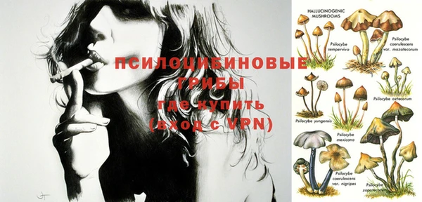 PSILOCYBIN Армянск
