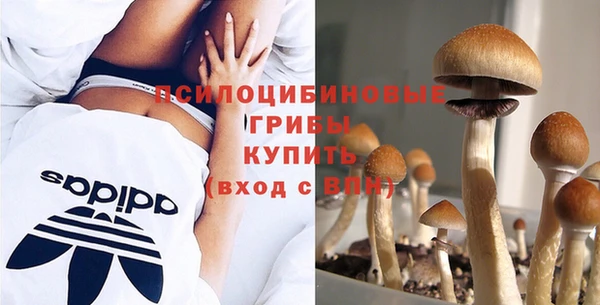 PSILOCYBIN Армянск