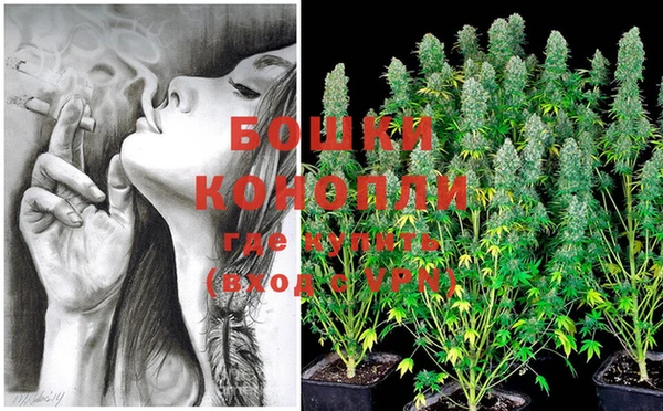 PSILOCYBIN Армянск
